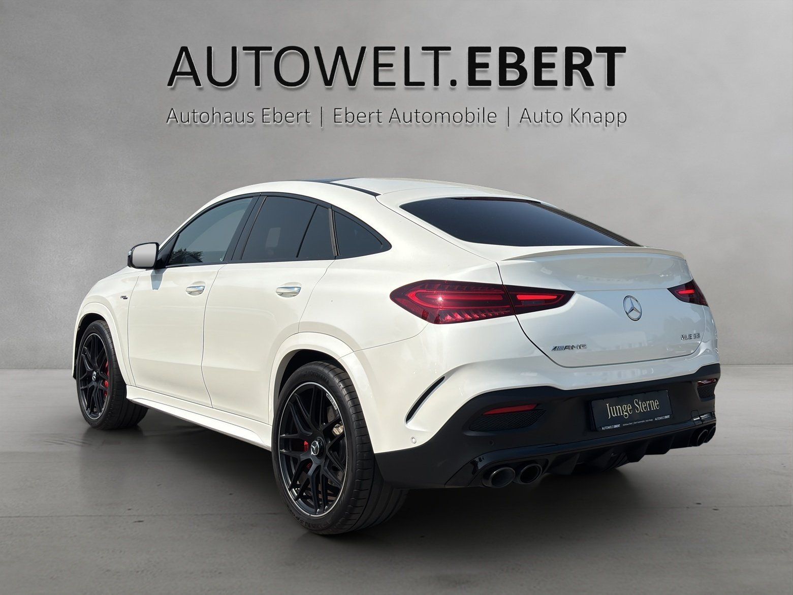 Fahrzeugabbildung Mercedes-Benz GLE 53 AMG Cpé Prem+ DISTRO Standhz AHK Perf.AGA