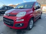 Fiat New Panda 1.2 8V LOUNGE - Fiat New Panda Gebrauchtwagen