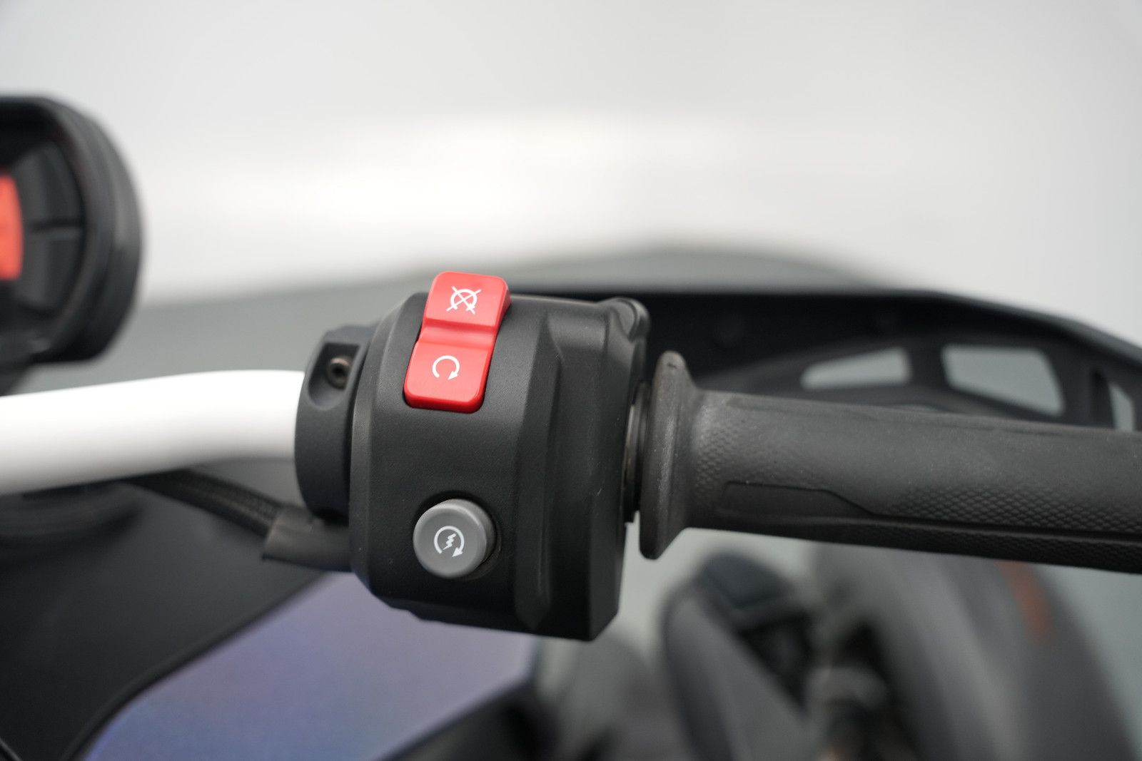 Fahrzeugabbildung Can-Am D Ryker Rally 900 INT 23