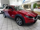 Mazda CX-30 SKYACTIV-X 180 6GS AL-SELECTION A18-B BOS  - Mazda CX-30 aus 2019
