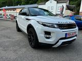 Land Rover Range Rover Evoque Dynamic*Panorama*Navi* - gebrauchte Land Rover Range Rover Evoque aus dem Jahr 2011