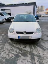 Volkswagen Lupo 1.7 SDI BASIS Basis - Volkswagen Lupo: Sdi