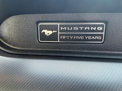 Fahrzeugabbildung Ford Mustang GT NEUZUSTAND Magne-Ride +Recaro