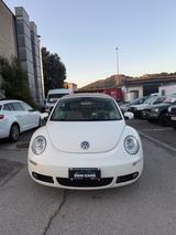 Volkswagen New Beetle 1.4 16V Cabrio - mit Benzin-Antrieb: Beige, Schiebedach, Cabrio