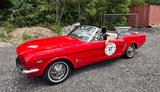 Ford Mustang Convertible 289 V8 1964/65 TÜV + Service - Ford Mustang: 65