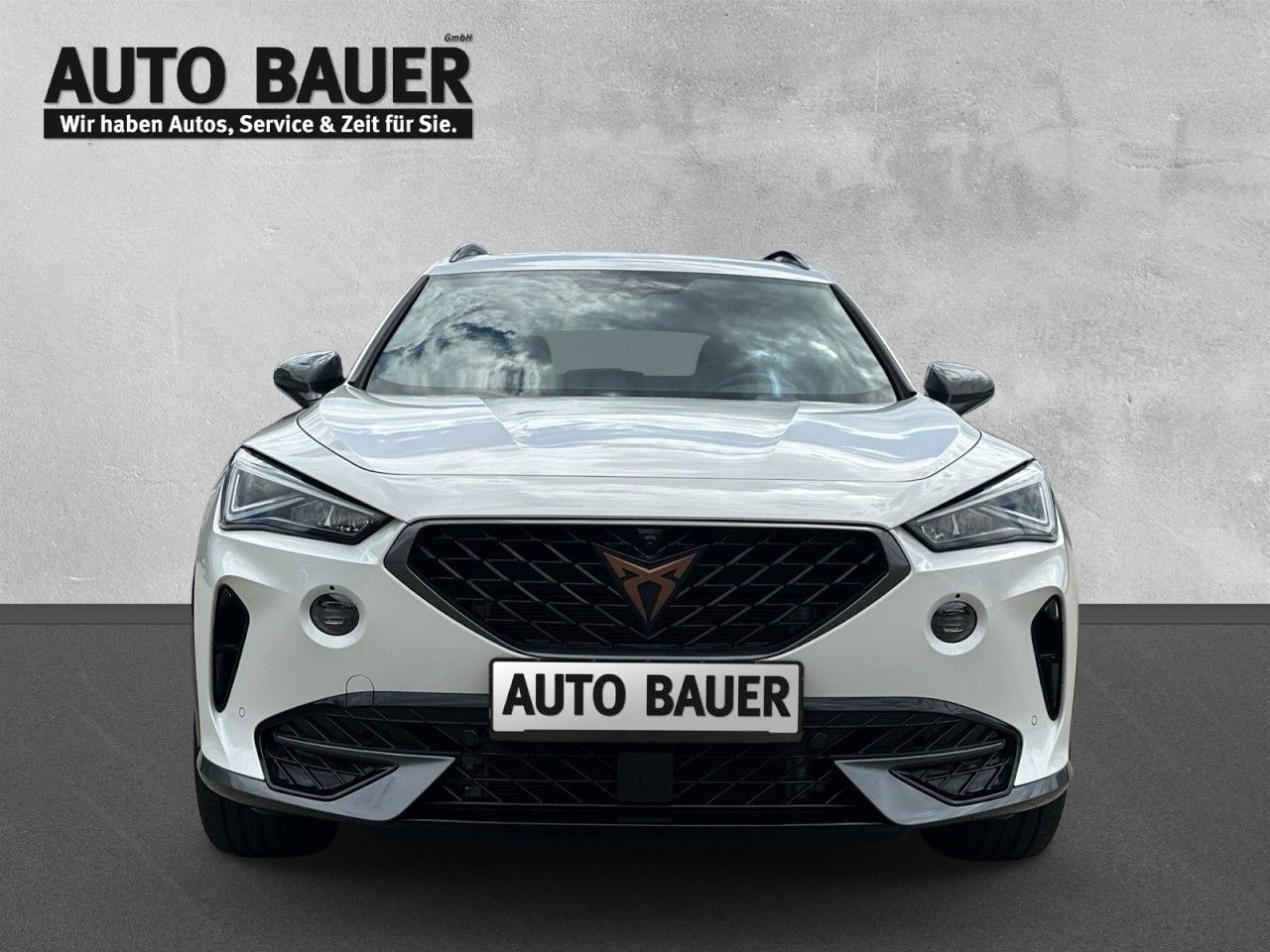 Fahrzeugabbildung CUPRA Formentor 2.0 TDI 4Drive