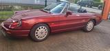 Alfa Romeo schöner & gepflegter 92er Spider - Oldtimer: Schöne