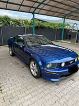 Ford Mustang GT/CS California Spezial  4,... - Ford Mustang: Cs