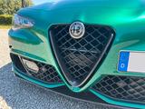 Alfa Romeo Giulia Quadrifoglio 2.9 V6 SPARCO CARBON-DACH - Alfa Romeo Giulia Quadrifoglio Sparco Gebrauchtwagen
