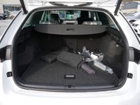 Skoda Octavia - Vorschau Bild 21