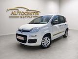 Fiat Panda Young *Org.60Tkm*KLIMA*NAVI*GARANTIE* - Fiat Panda: Young