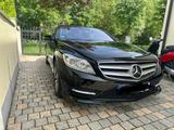 Mercedes-Benz CL 500 4MATIC BlueEFFICIENCY - AMG - Paket VOLL - Mercedes-Benz CL 500: Leder