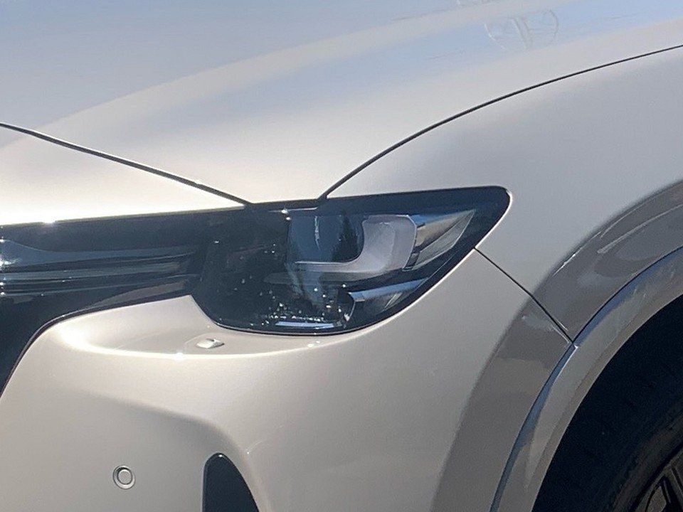 Fahrzeugabbildung Mazda CX-60 3.3d 254PS AWD Homura Plus