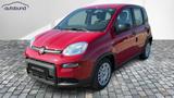 Fiat Panda 1,0  Hybrid (MHEV) Pandina Base NBA PDC  - Fiat Panda Pandina mit Benzin-Antrieb