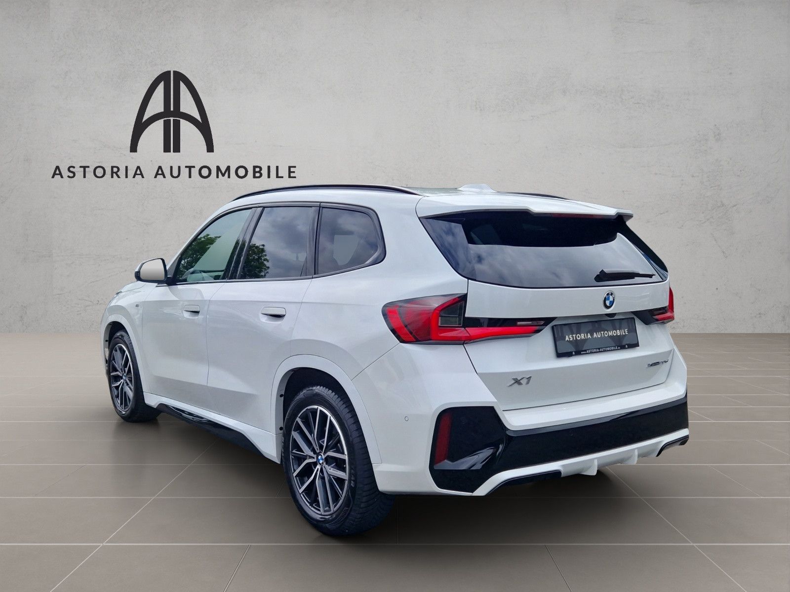 BMW X1 20 d xDrive M-Sport Hexacube DAB Kamera Alcan foto 10