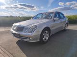 Mercedes-Benz E 320 CDI 4MATIC AVANTGARDE Avantgarde - Mercedes-Benz E 320: Avantgarde