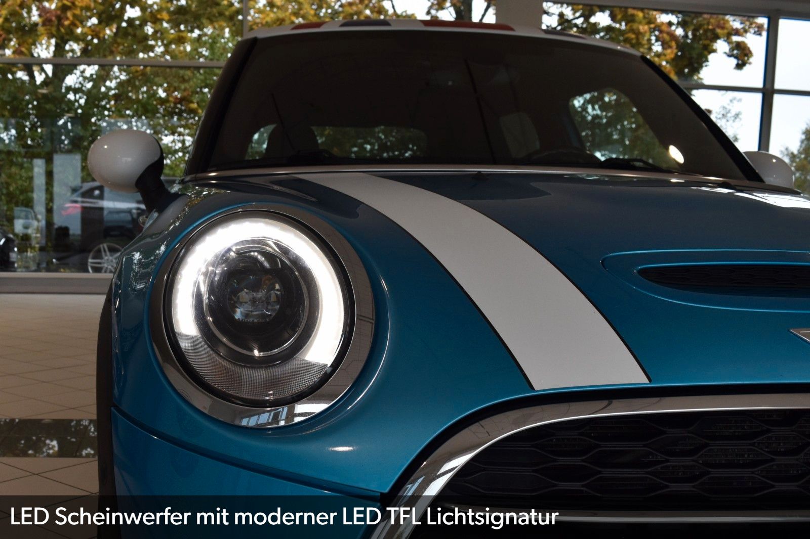 Fahrzeugbild 15