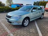 Skoda Octavia Lim. Elegance Automatik 30Tkm Xenon - Skoda Octavia aus 2011: Elegance