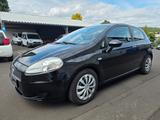 Fiat Punto 1.4 8V Active 1.Hand 2/3 Türer TÜV Neu - Fiat Punto: Türer