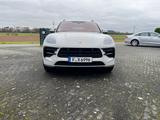 Porsche Macan GTS Kreide - Luftfederung - Approved  - Porsche Macan Kreide Gebrauchtwagen