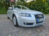 Audi audi a3 1.6 fsi 90tkm Rentner Fahrzeug - Audi A3 aus 2006: 1.9