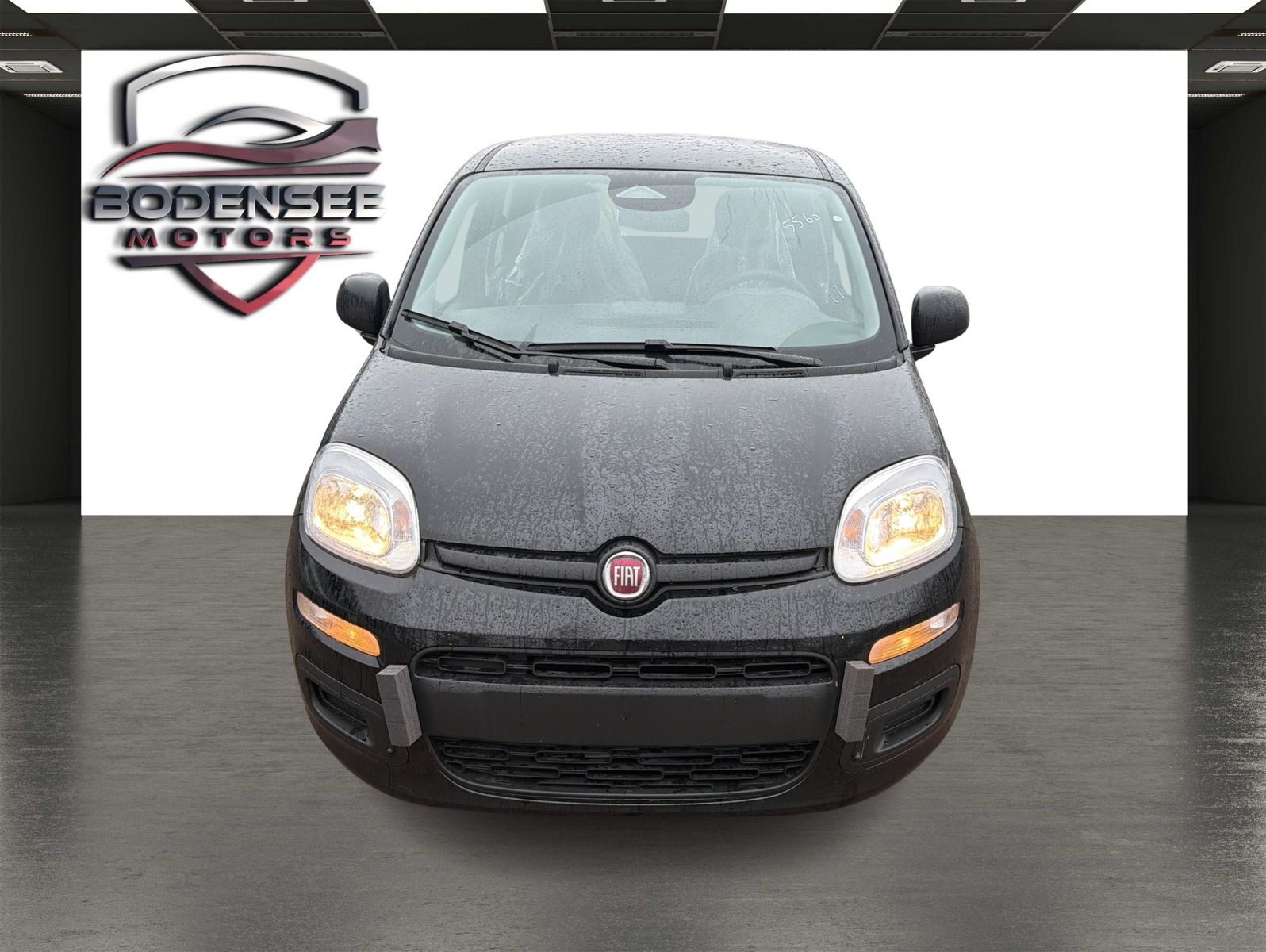 Fahrzeugabbildung Fiat Panda Pandina Icon