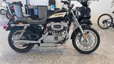 Harley-Davidson Harley-davidson XL 1200 1200 Roadster XL 1200 R - HARLEY-DAVIDSON ROADSTER 1200