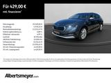 Skoda Octavia Combi 1.5 TSI Scout +AHK+NAVI+KAMERA+LM+ - Skoda Octavia Scout mit Benzin-Antrieb