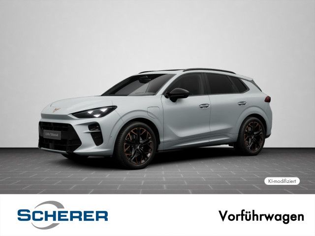 Image of Cupra Terramar
