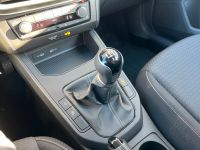 SEAT Ibiza 1.0 TSI Style SHZ TEMPO PDC LED 5J GAR bei Autohaus Landmann & Maier OHG