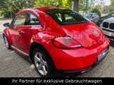 Volkswagen Beetle R-Line 2.0 TDI BMT LEDER *XENON*SH*NAVI - gebrauchte VW Beetle aus dem Jahr 2018
