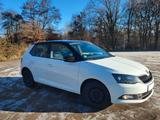 Skoda Fabia III 1.4l TDI Style weiß - Skoda Fabia: Ii