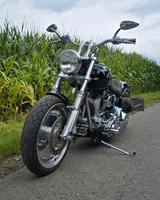 Harley-Davidson Softail - Custom Bike - Offers