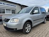 Volkswagen Caddy Maxi Life Gewinner Caddy - Volkswagen Caddy: Gewinner