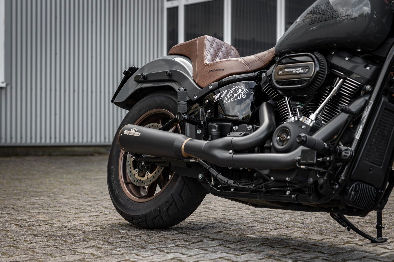Fahrzeugabbildung Harley-Davidson FXLRS LOW RIDER S 117 CUI - JEKILL&HYDE -
