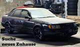 Audi S4 2.2T mit 600PS Umbau