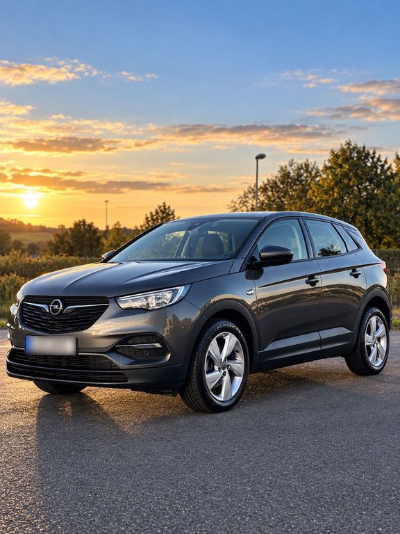 Image of Opel Other