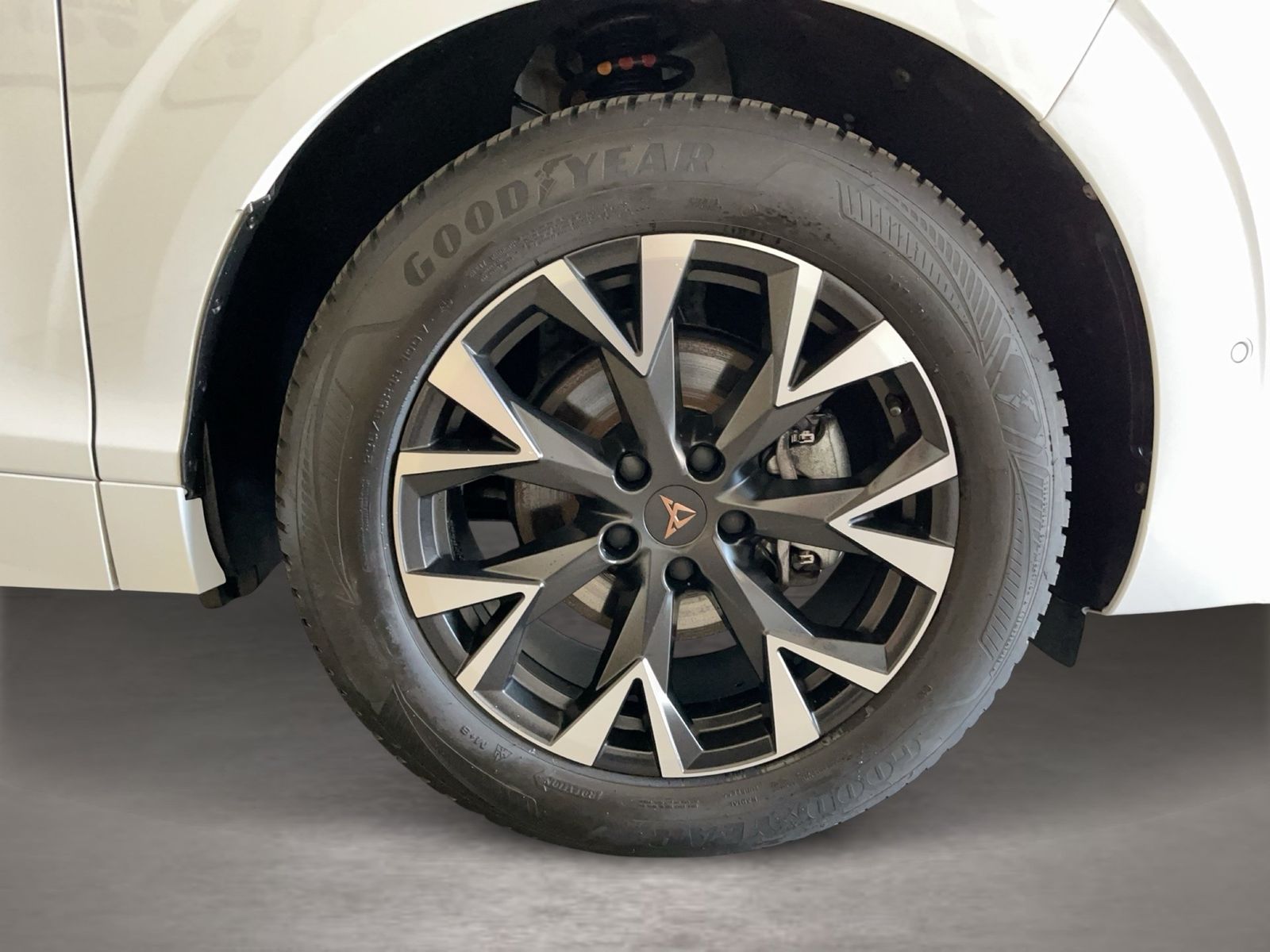 Cupra Terramar - Bild 6