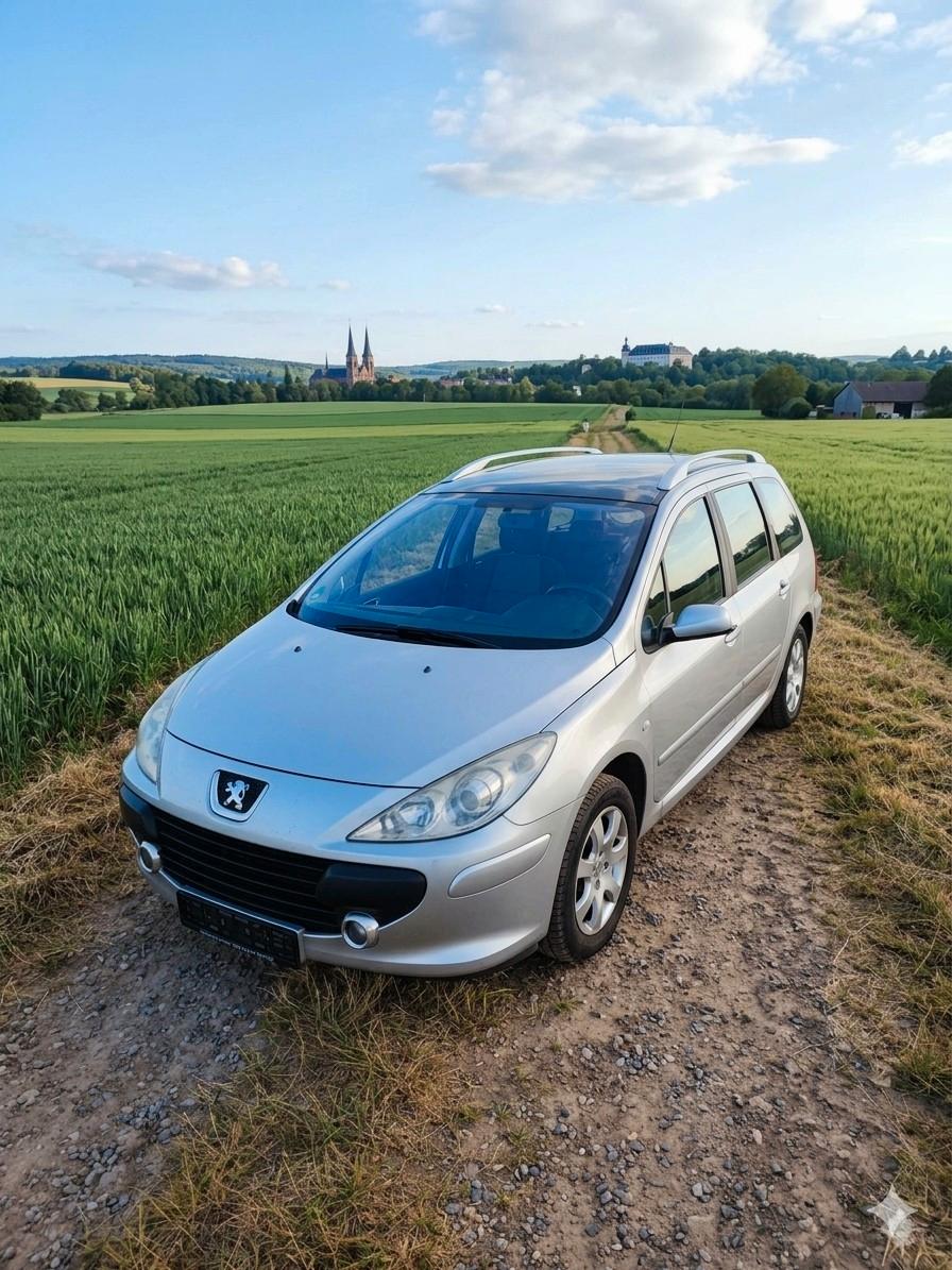 Peugeot 307, 2007