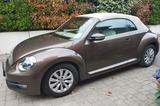 Volkswagen Beetle 1.2 TSI BMT Design Cabriolet Design - mit Benzin-Antrieb: Braun, Cabrio