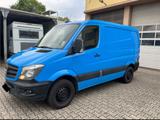 Mercedes-Benz Mercedes Benz Sprinter 316 neuer Motor 100... - Mercedes-Benz Sprinter: Motor