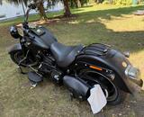 Harley-Davidson FatBoy S110, Black Denim - Harley-Davidson Motorräder in Berlin