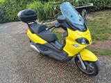 Piaggio X9 500 - PIAGGIO X9 500