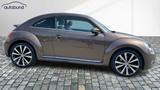Volkswagen Beetle 1,4 TSI Exclusive Design Navi  - gebrauchte VW Beetle aus dem Jahr 2014