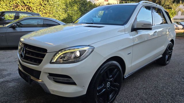 Mercedes-Benz Mercedes-benz ML 250 ML 250 BlueTEC 4Matic Sport