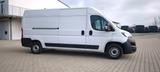 Fiat Ducato - Fiat Ducato von privat