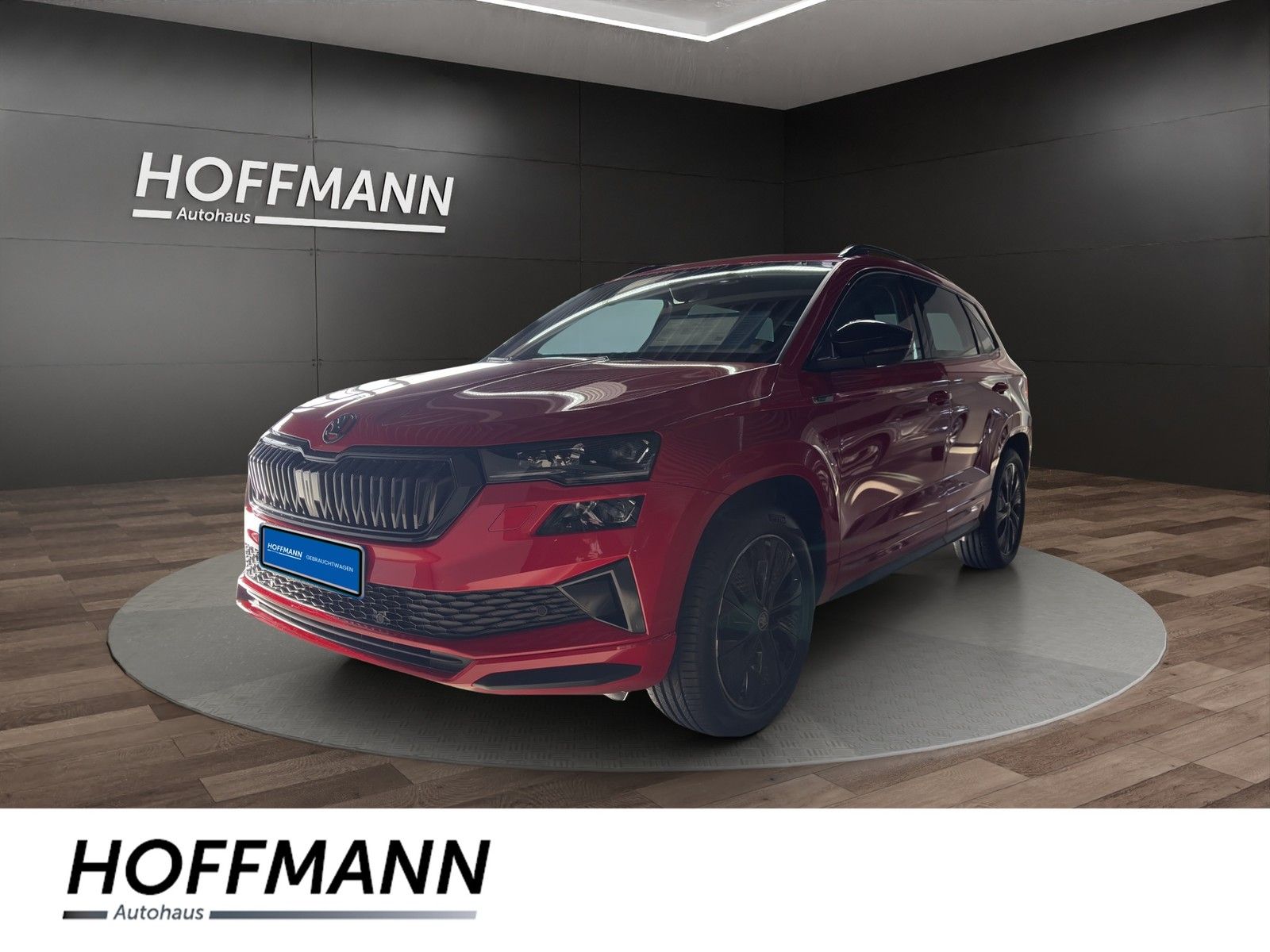 Fahrzeugbild von Skoda Karoq