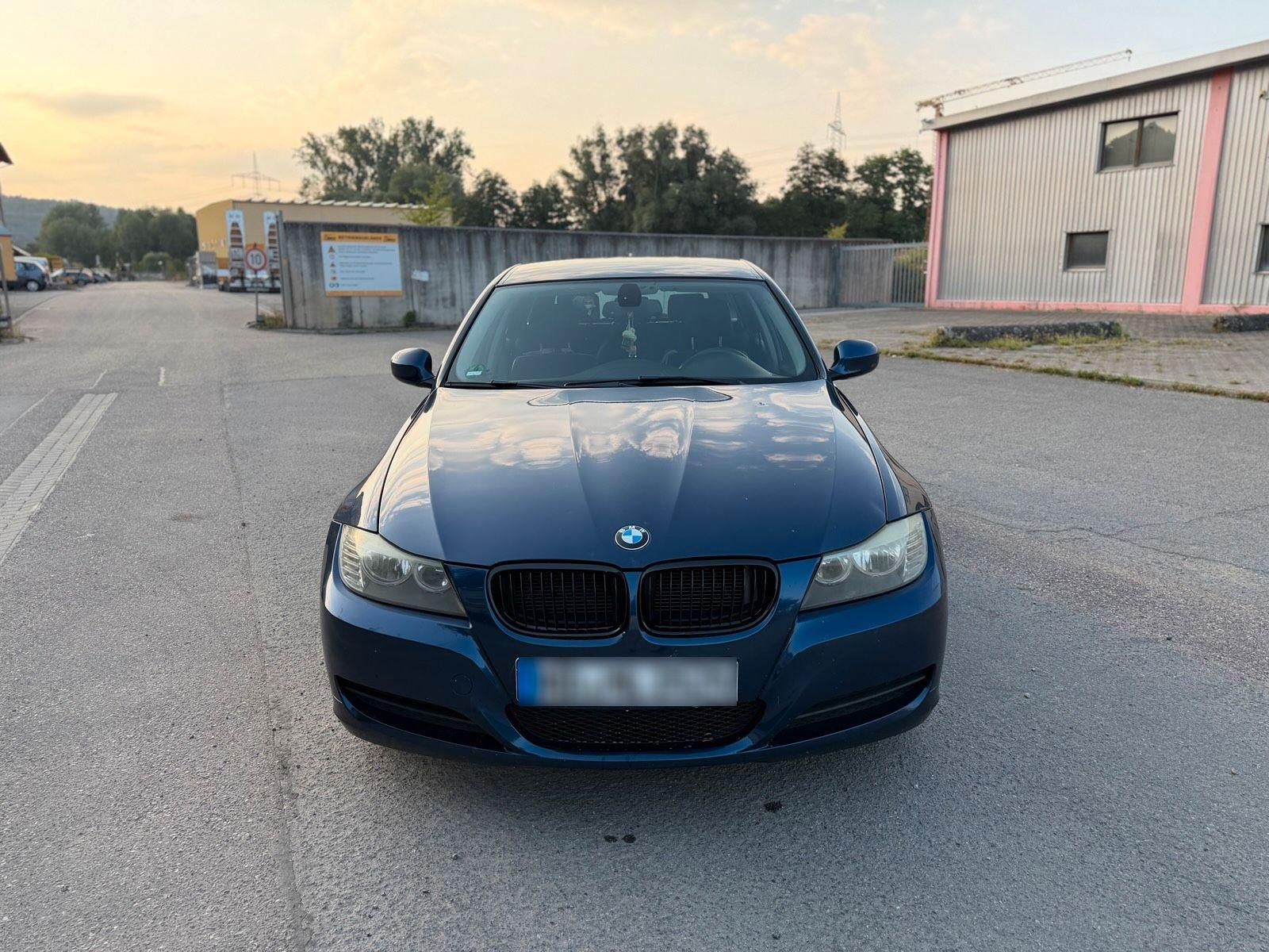 BMW 316 2010 — rear view