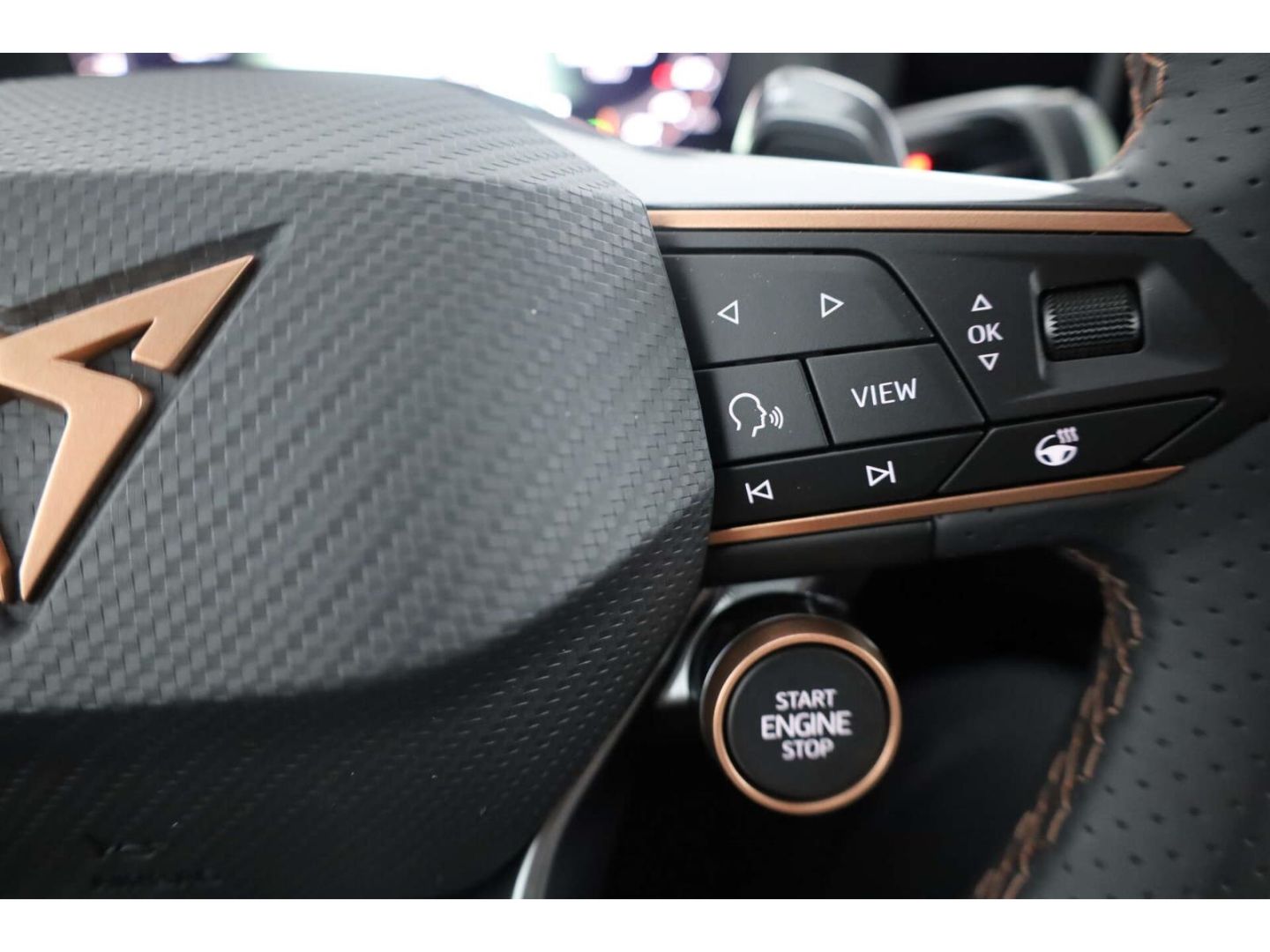 Cupra Terramar - Bild 15
