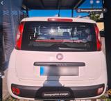 Fiat panda - Fiat Panda Gebrauchtwagen in Stuttgart
